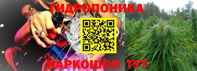 ешки Камышлов