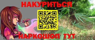 spice Кандалакша