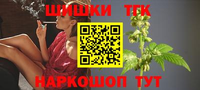 ешки Камышлов