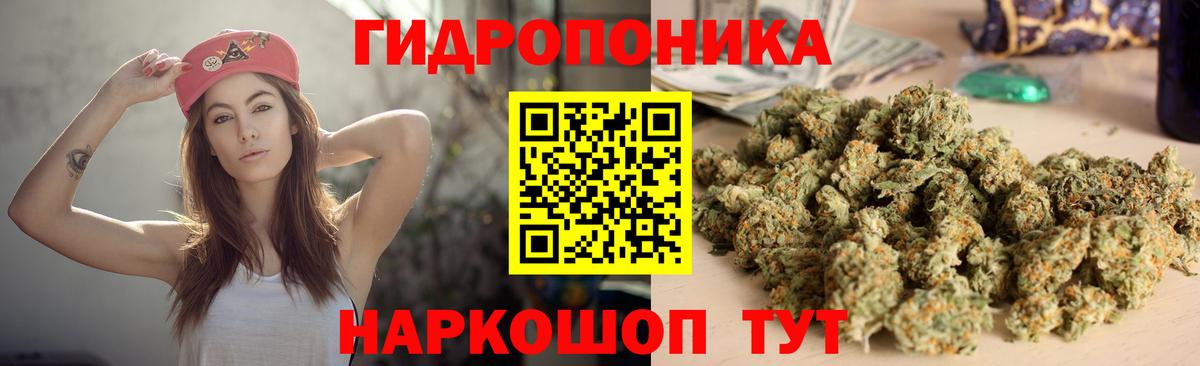 Бошки Шишки конопля Учалы